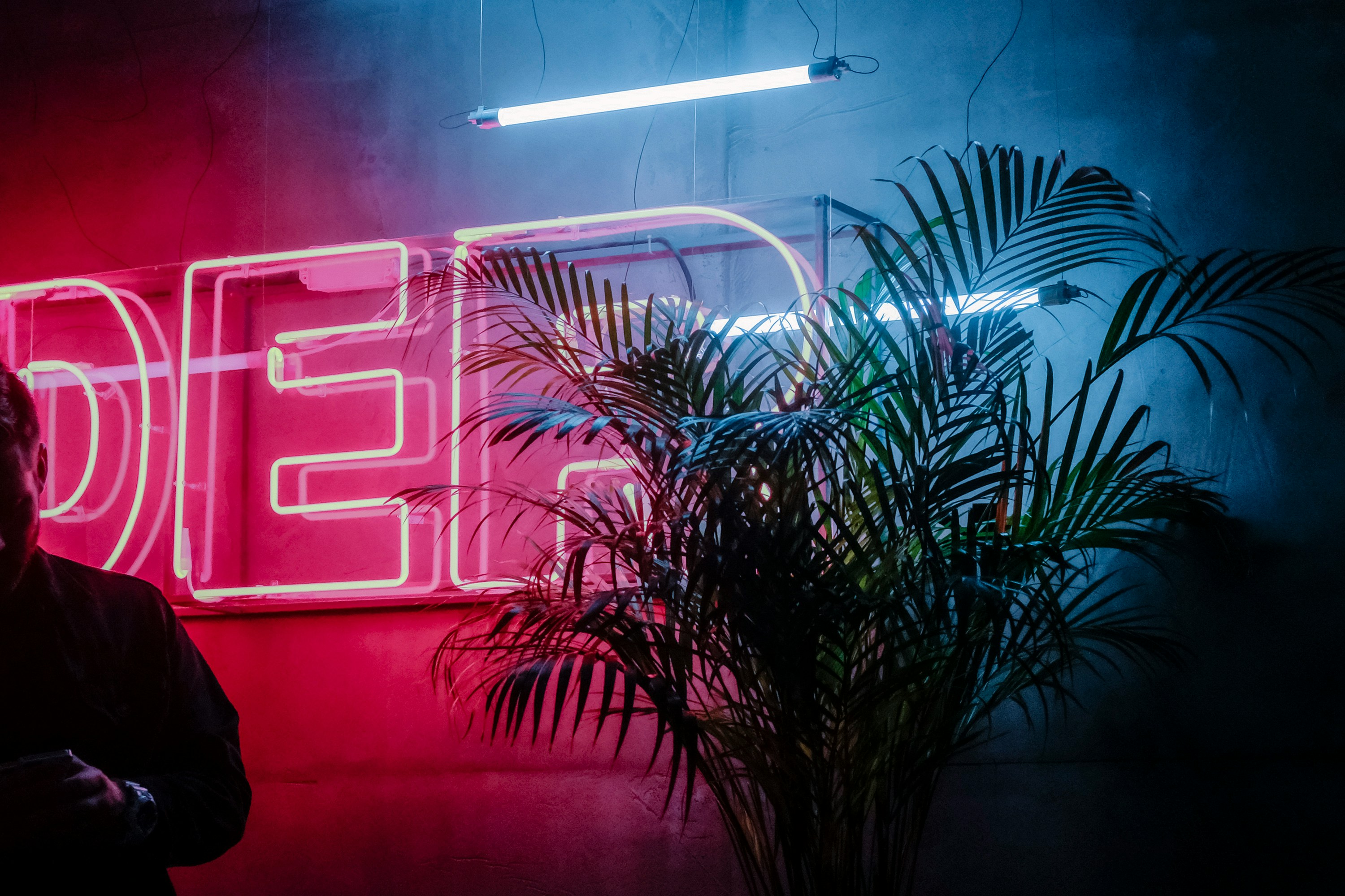 Imagen de Precio de Entrada